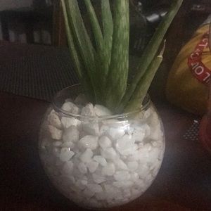 Meet your Posher, Ericka